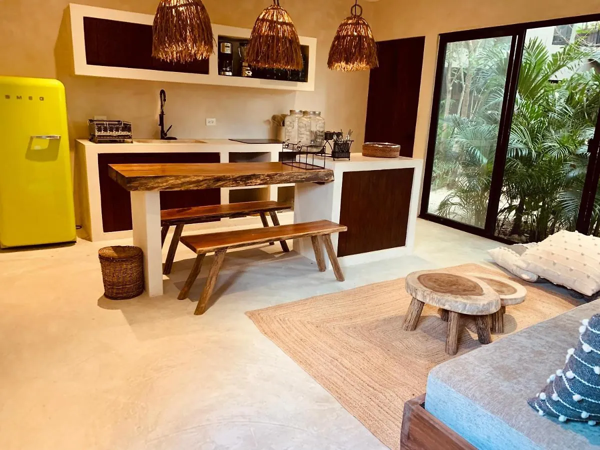 Apartment Vida Jungle Apart 1 With Special Fee To Access Hotel Bardo Tulum