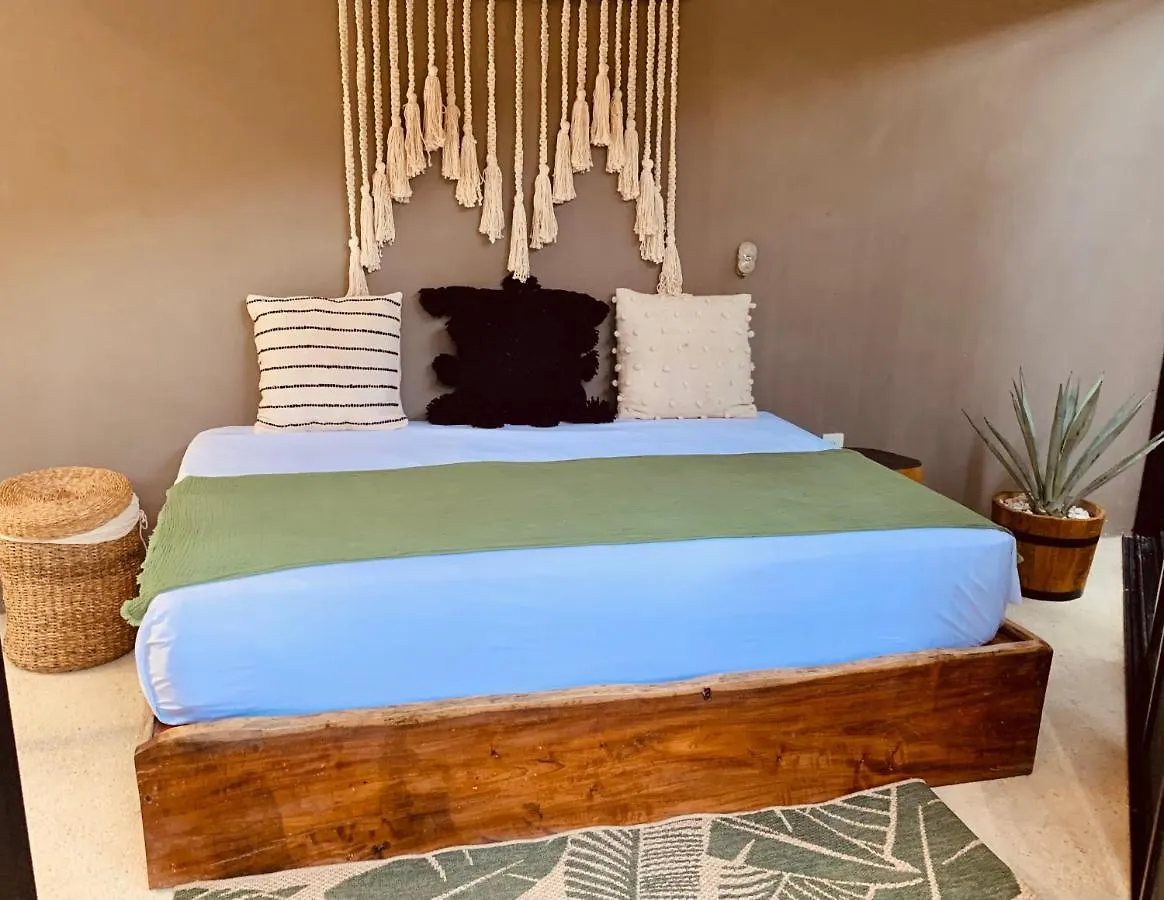 Vida Jungle Apart 1 With Special Fee To Access Hotel Bardo Tulum