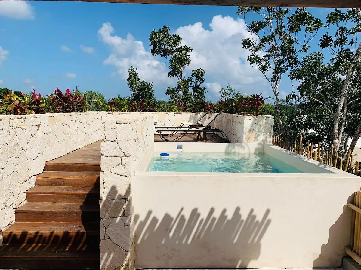 Vida Jungle Apart 1 With Special Fee To Access Hotel Bardo Tulum Apartamento