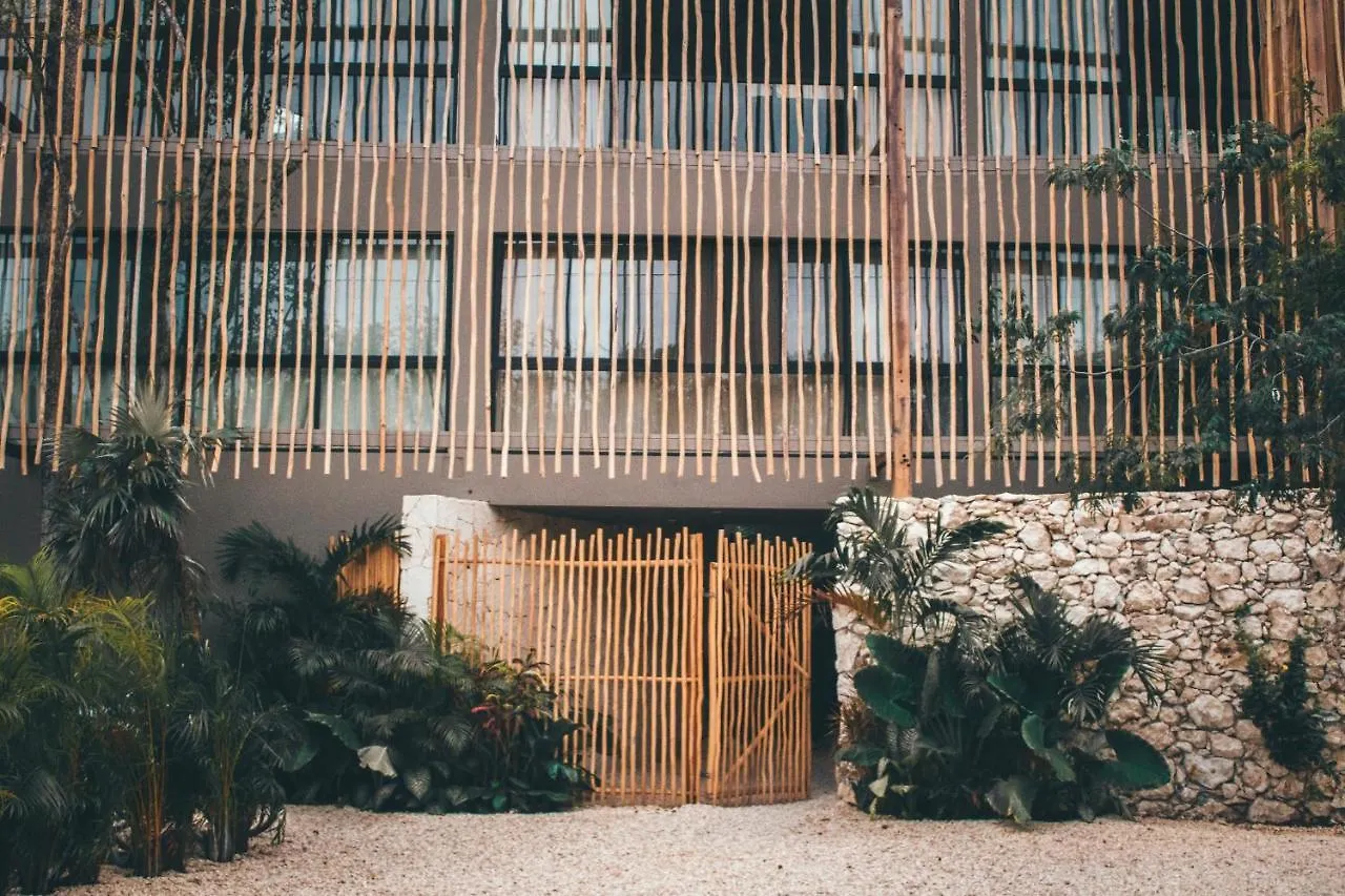 Vida Jungle Apart 1 With Special Fee To Access Hotel Bardo Tulum