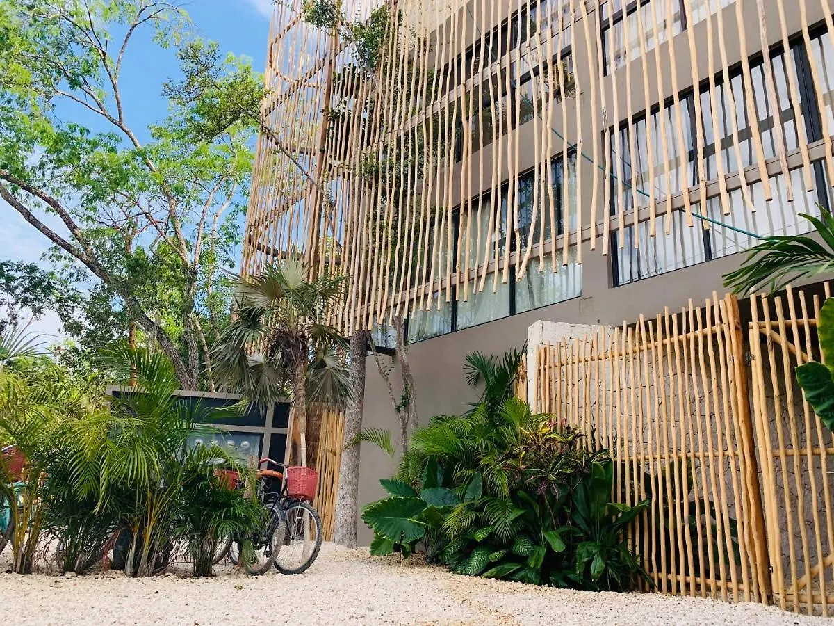 Vida Jungle Apart 1 With Special Fee To Access Hotel Bardo Tulum