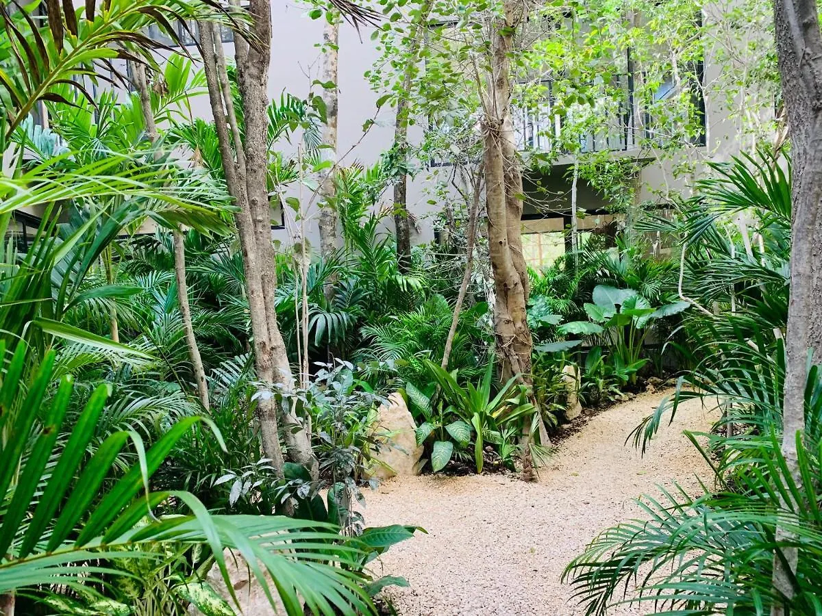 Apartamento Vida Jungle Apart 1 With Special Fee To Access Hotel Bardo Tulum México