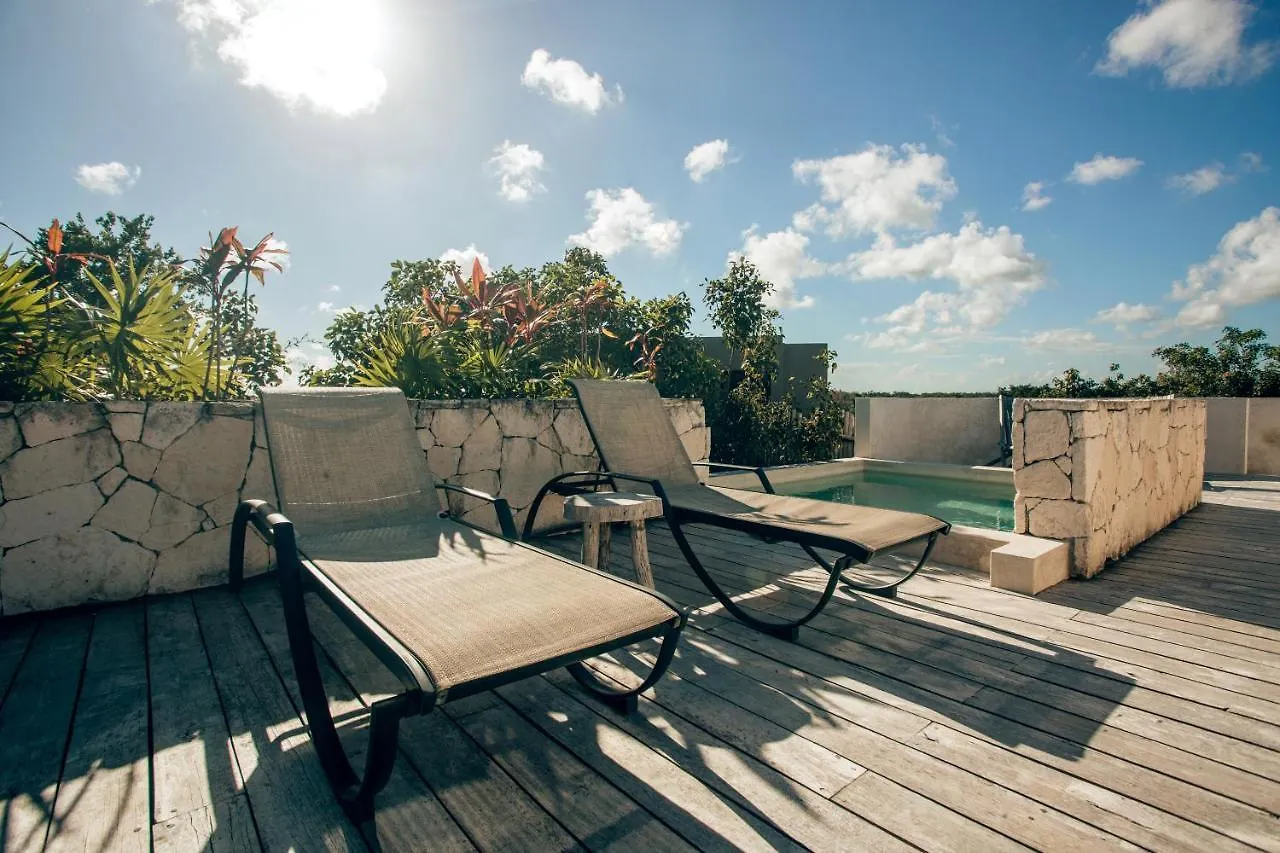 Vida Jungle Apart 1 With Special Fee To Access Hotel Bardo Tulum