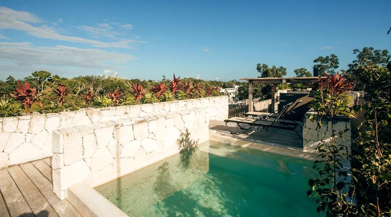 Vida Jungle Apart 1 With Special Fee To Access Hotel Bardo Tulum Apartamento