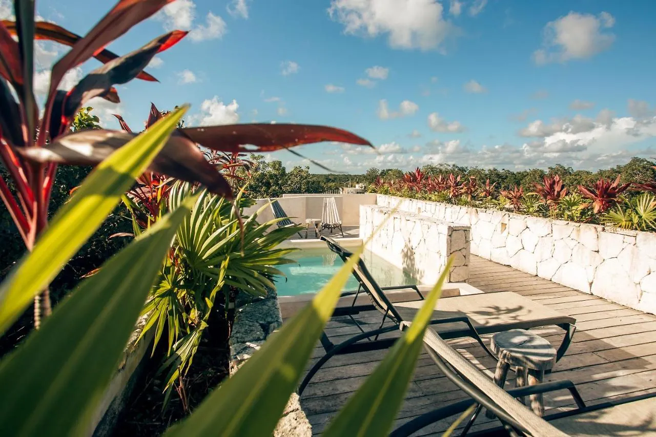 Apartamento Vida Jungle Apart 1 With Special Fee To Access Hotel Bardo Tulum
